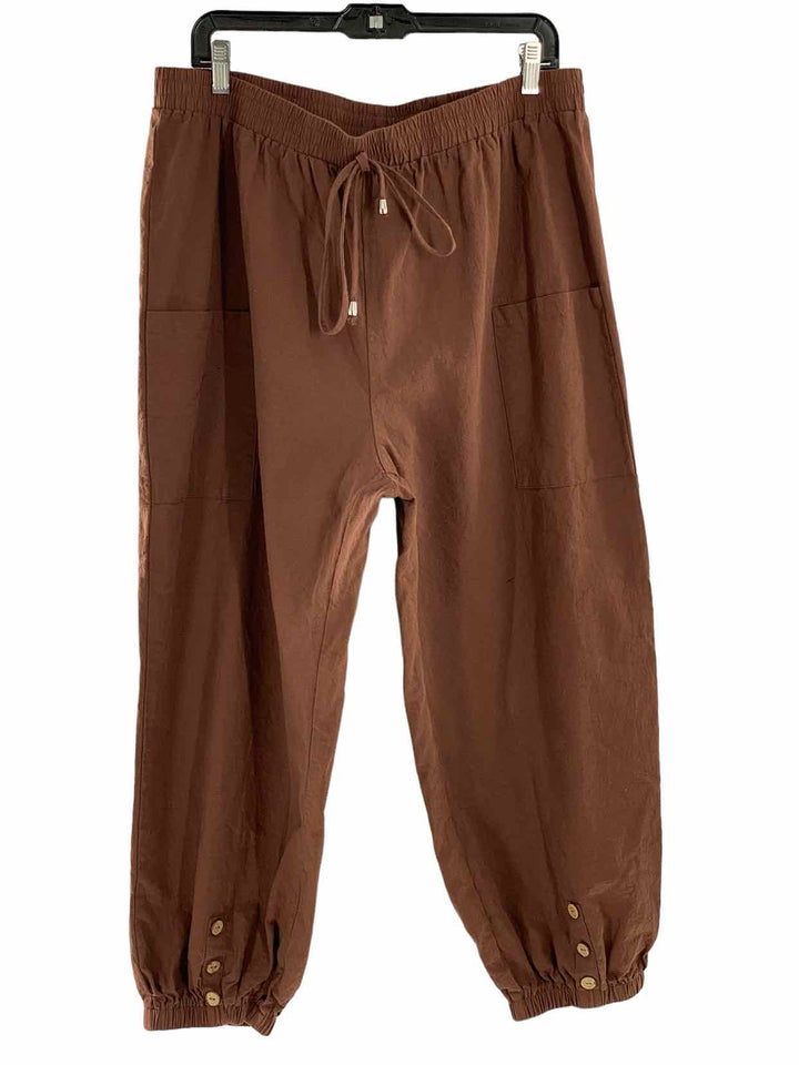 Unknown Brand Size 2XL Brown Pants