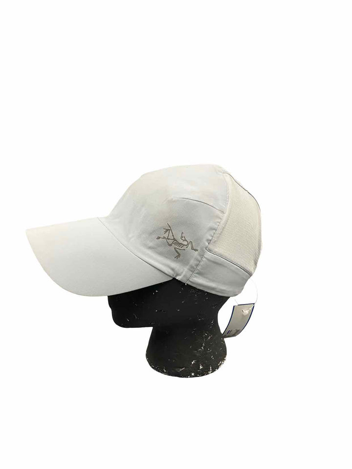 Arc' Teryx Light Blue Hat