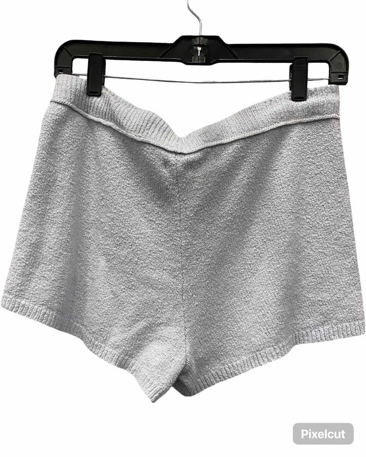 Aerie Size M Light Blue Shorts