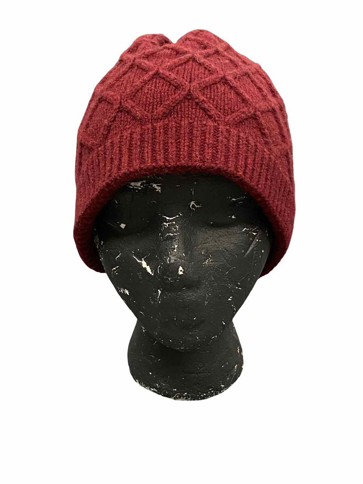 Patagonia Burgundy Hat