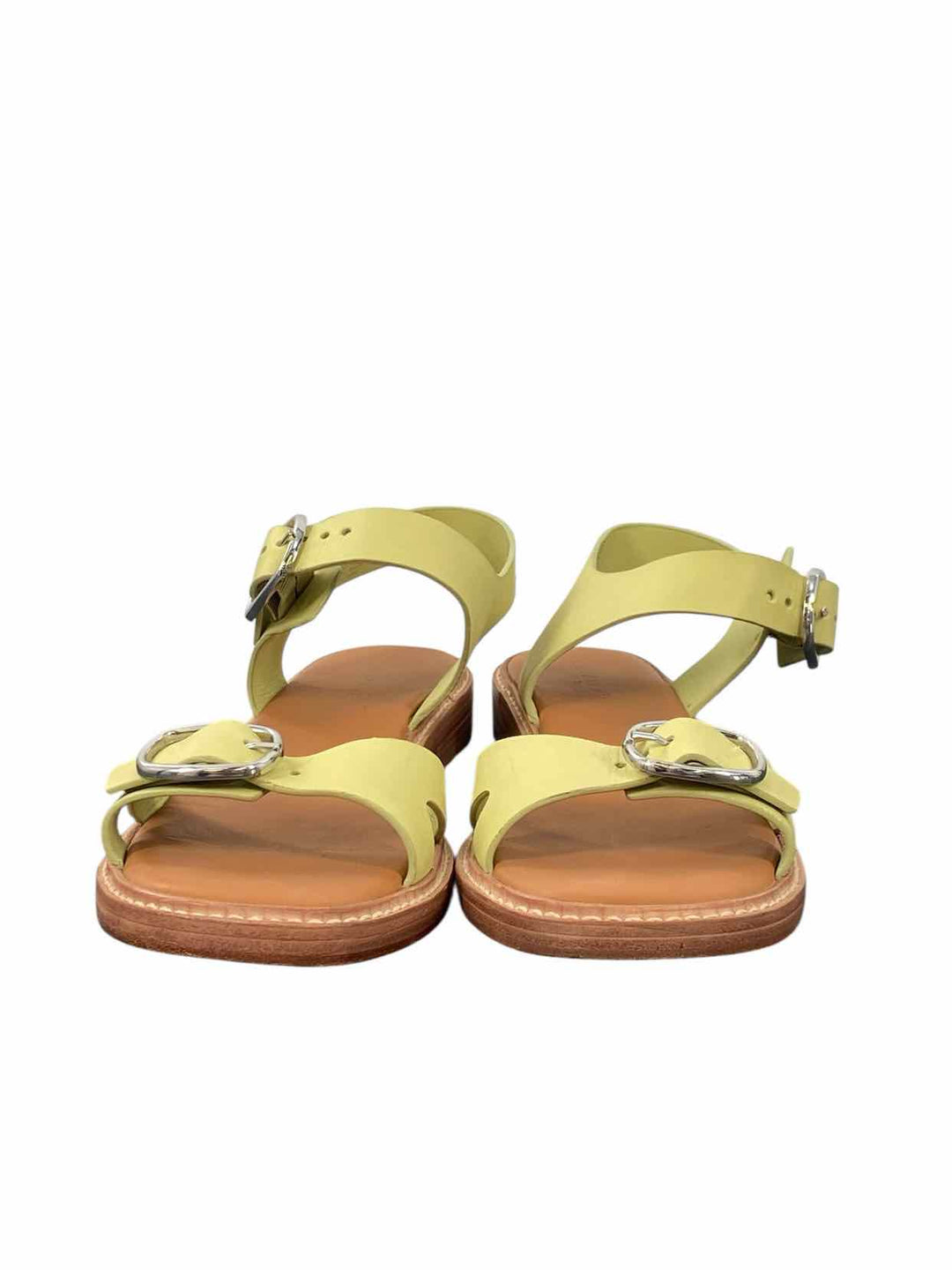 Everlane Shoe Size 9.5 Green Twin Buckle Sandals