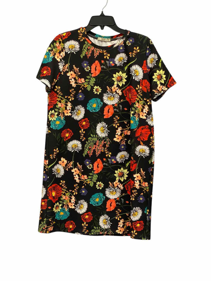 Zara Trafaluc Size M Black Multi Floral Dress