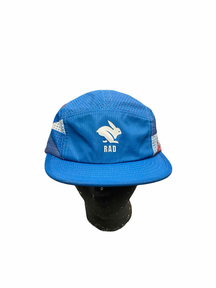 Rabbit Blue Hat