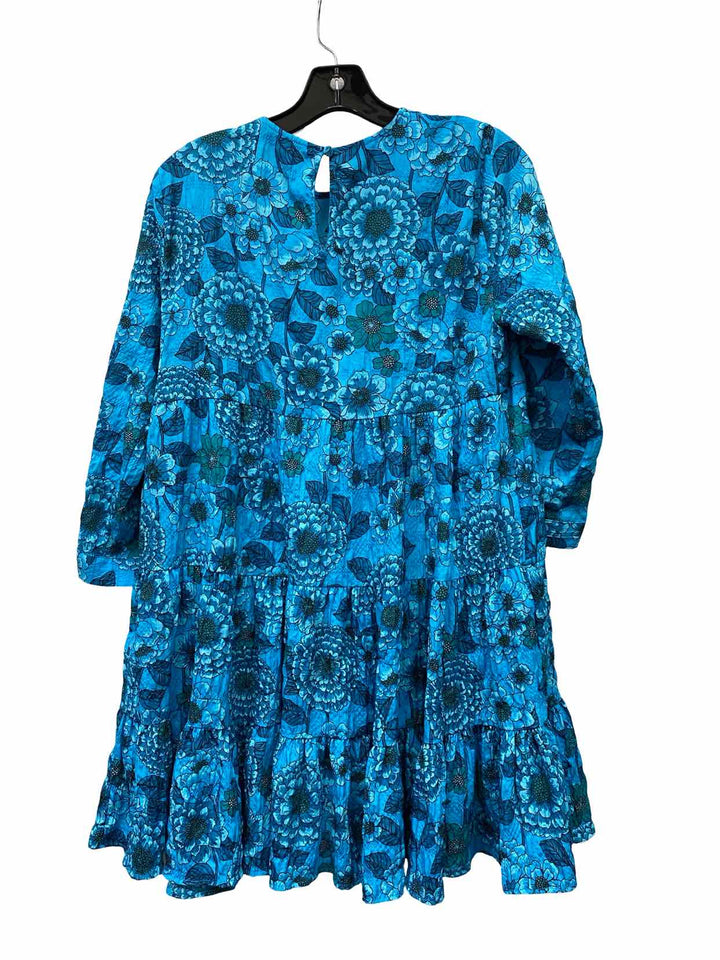 ZARA Size XS Blue Floral Dress