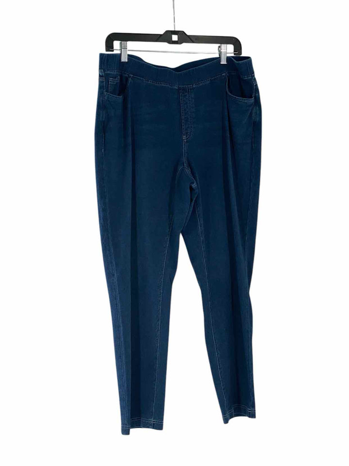 J Jill Size XL Blue Pants