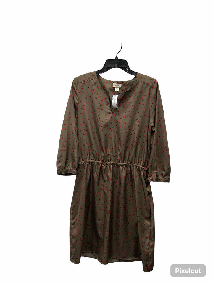 Lands End Size 8 Brown Red Berry Dress