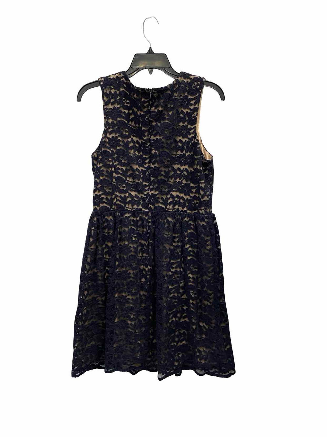 Ivy + Blu Size 8 Blue Tan Lace Dress