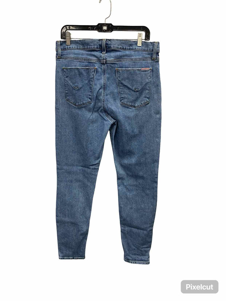 hudson Size 31 Blue Jeans