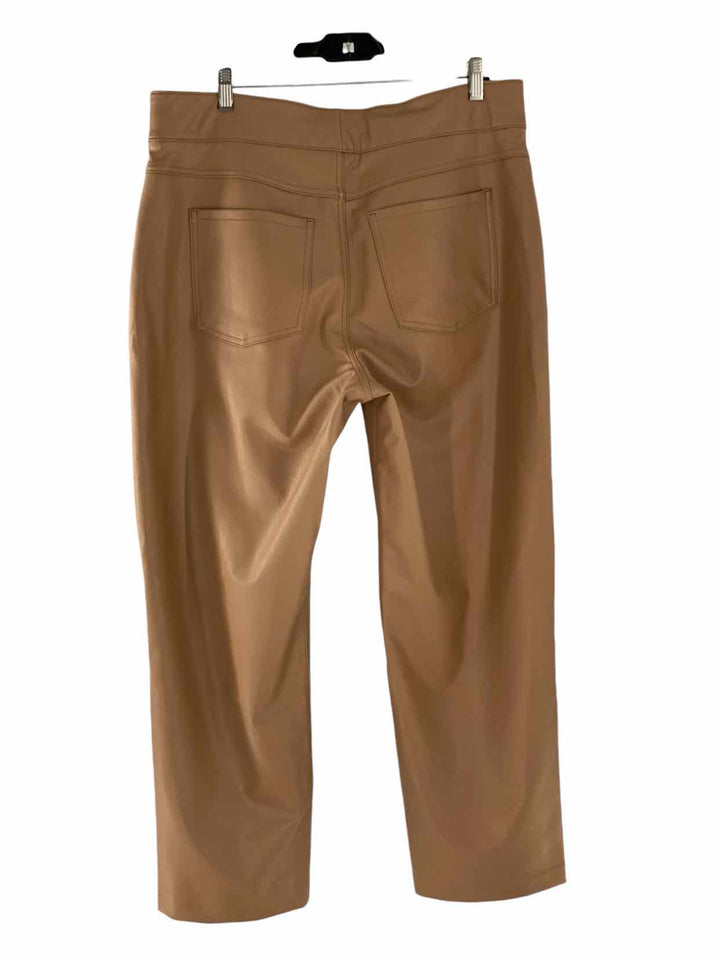 Spanx Size 1X Tan Pants