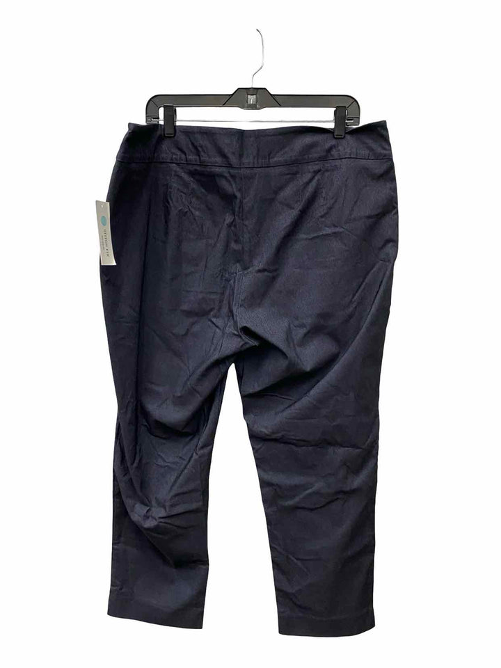 Erica Taylor Size 3X Blue Pants