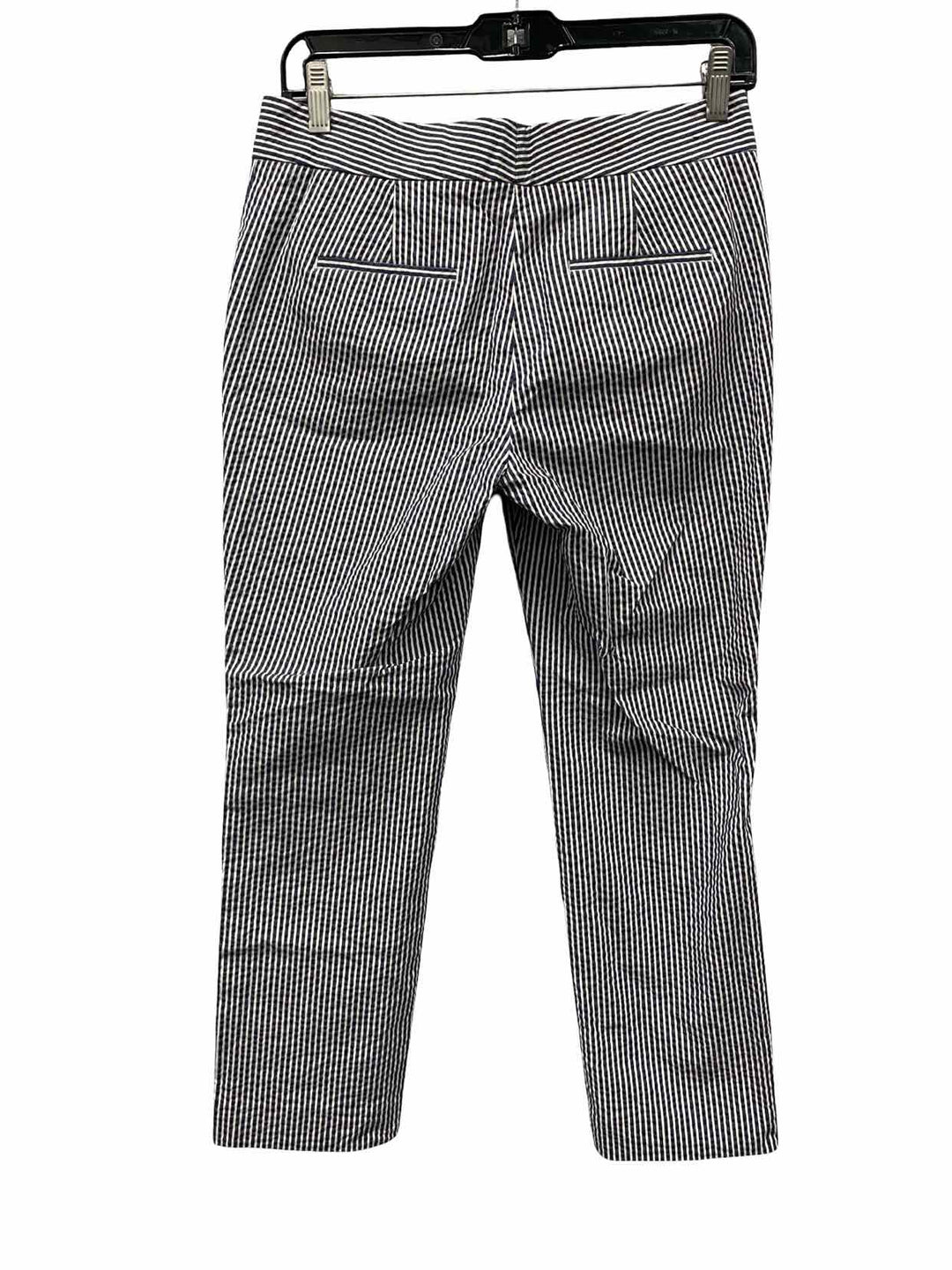 Ann Taylor Size 2P Blue White Stripe Pants