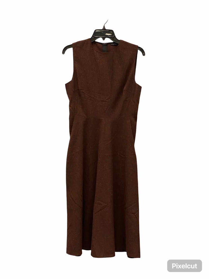 ZARA Size M Brown Dress
