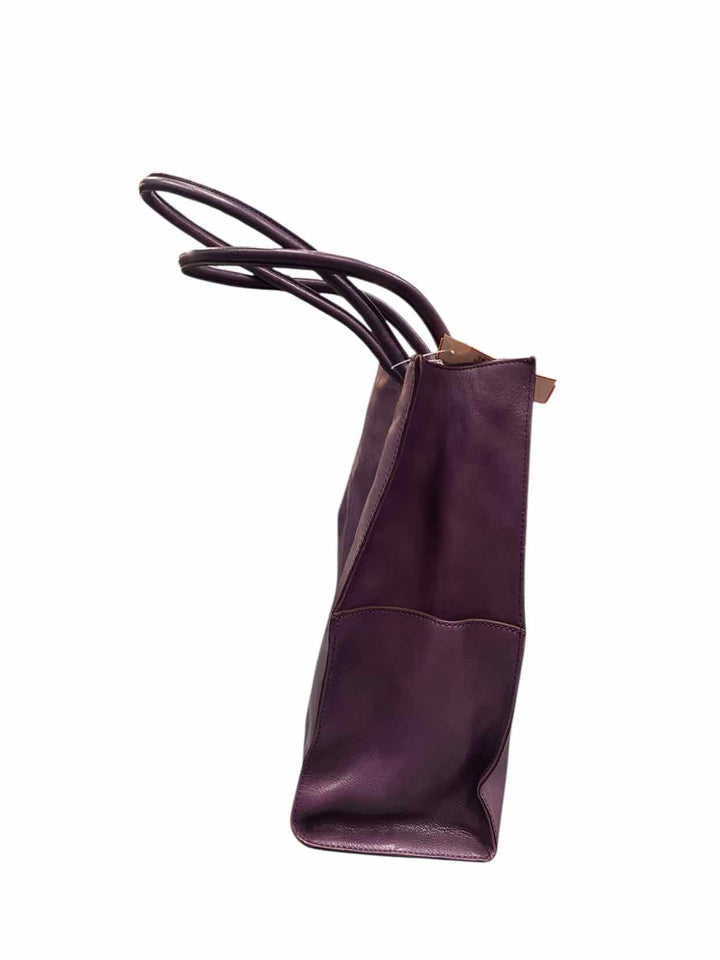 Hobo Purple Purse