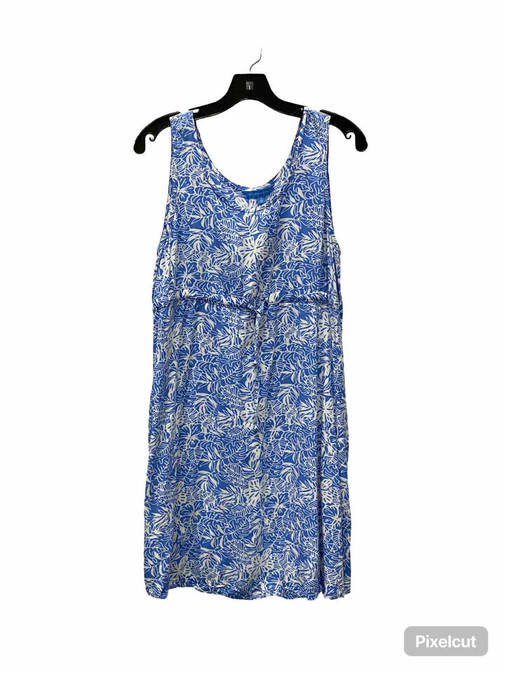 BLue Ginger Size M Blue White Floral Dress