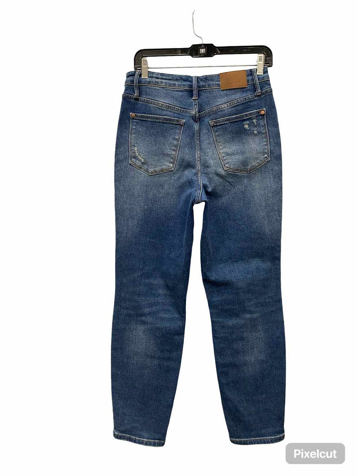 Judy Blue Size 29 Jeans
