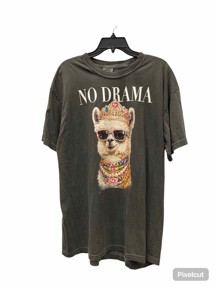 Comfort Colors Size XL Gray Print T-shirt