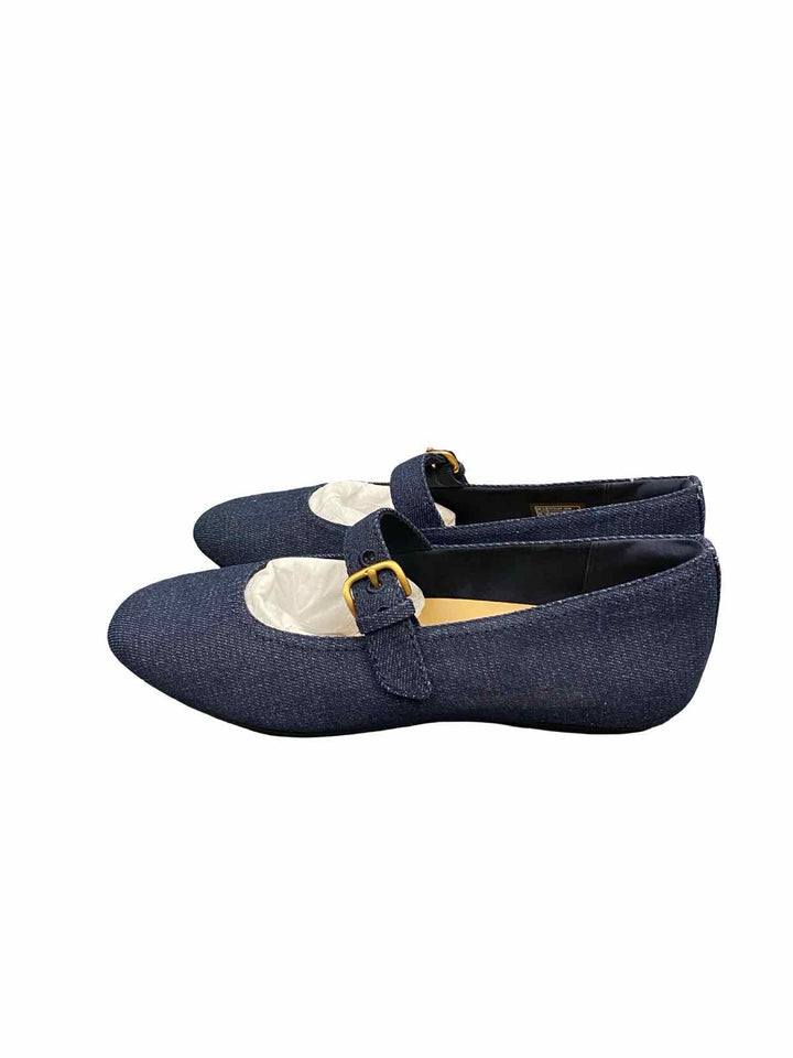 Fitflop Shoe Size 7.5 Blue Mary Jane Flats