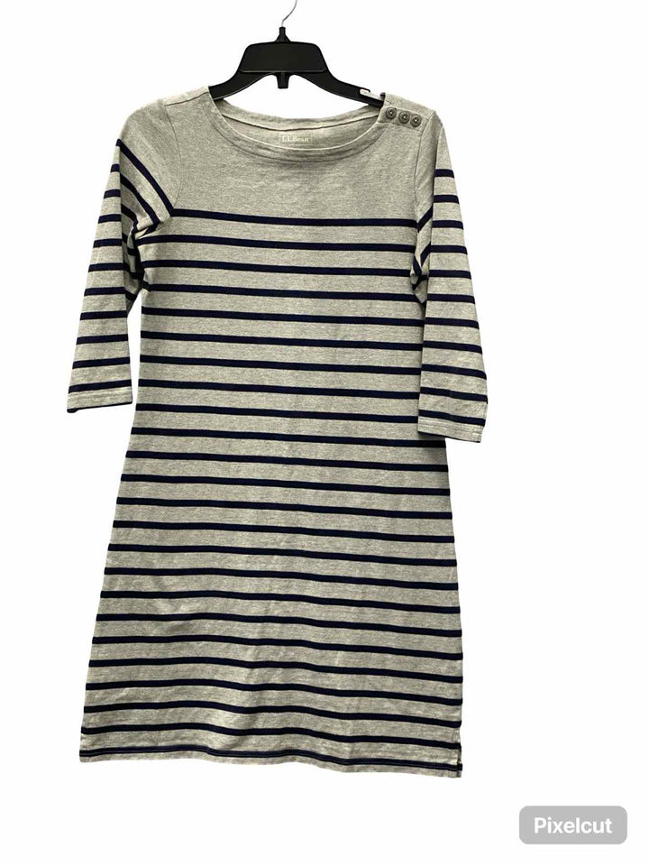 LL Bean Size XS Grey navy Striped Dress