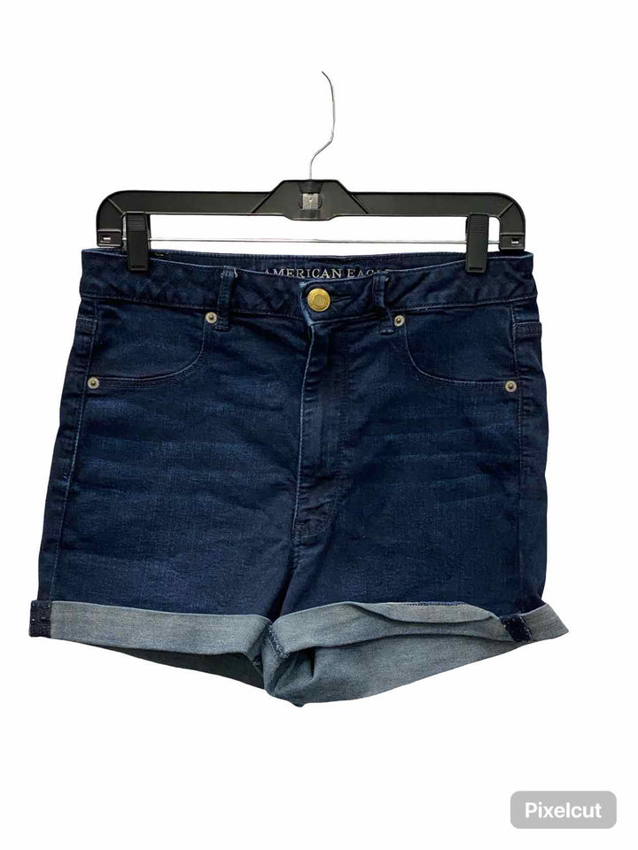 American Eagle Size 12 Blue Shorts