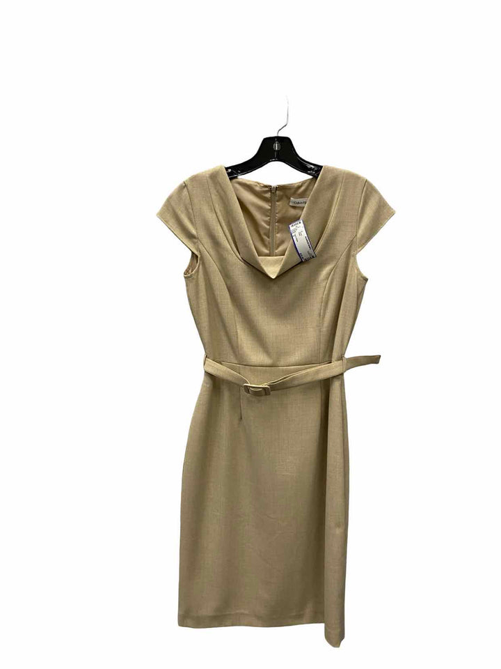 Calvin Klein Size 2 Beige Dress