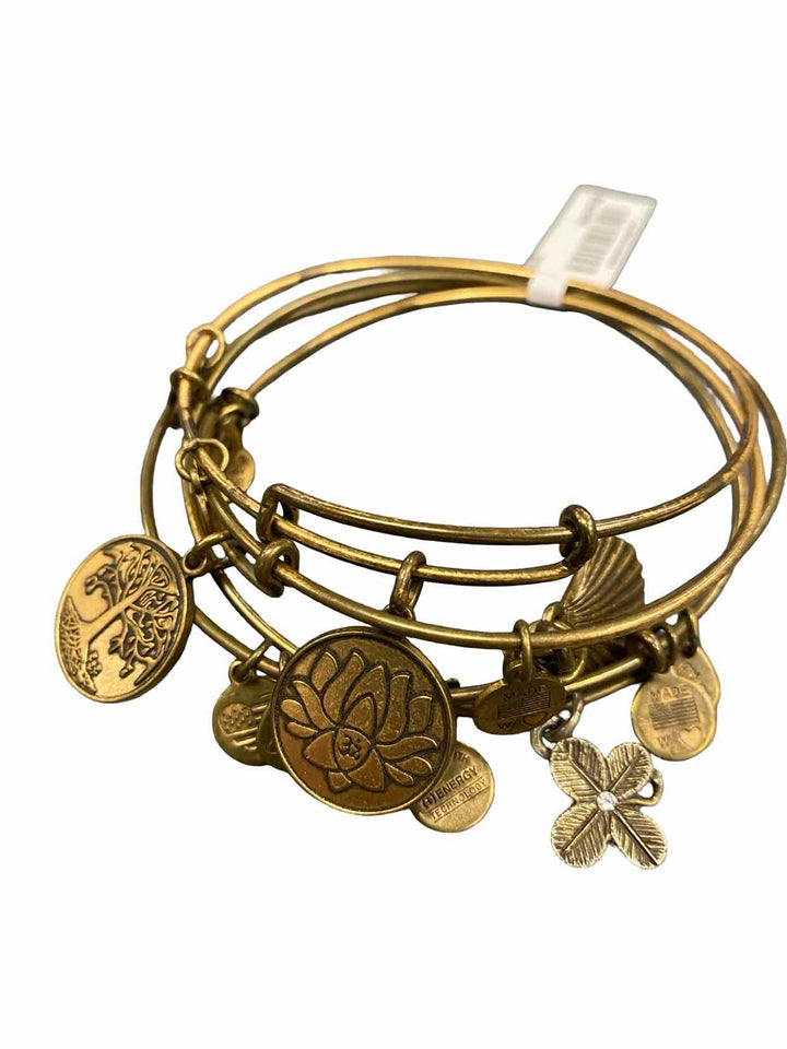 Alex And Ani Bracelet