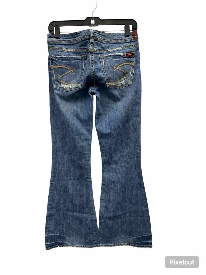 Silver Jeans Co. Size 27 Blue Jeans