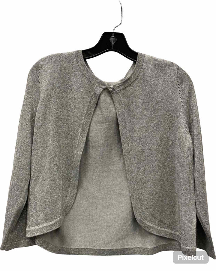 Ann Taylor Size L Silver Sparkly Sweater