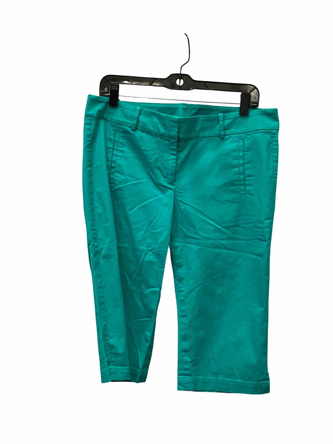 Ann Taylor Size 10 Turquoise Capris