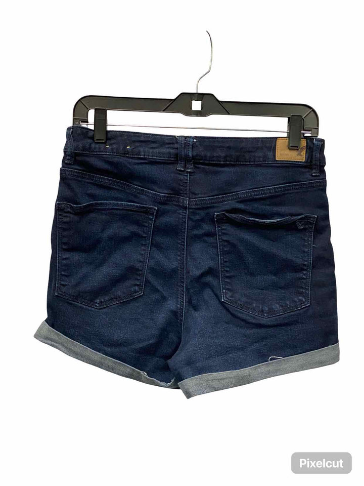 American Eagle Size 12 Blue Shorts