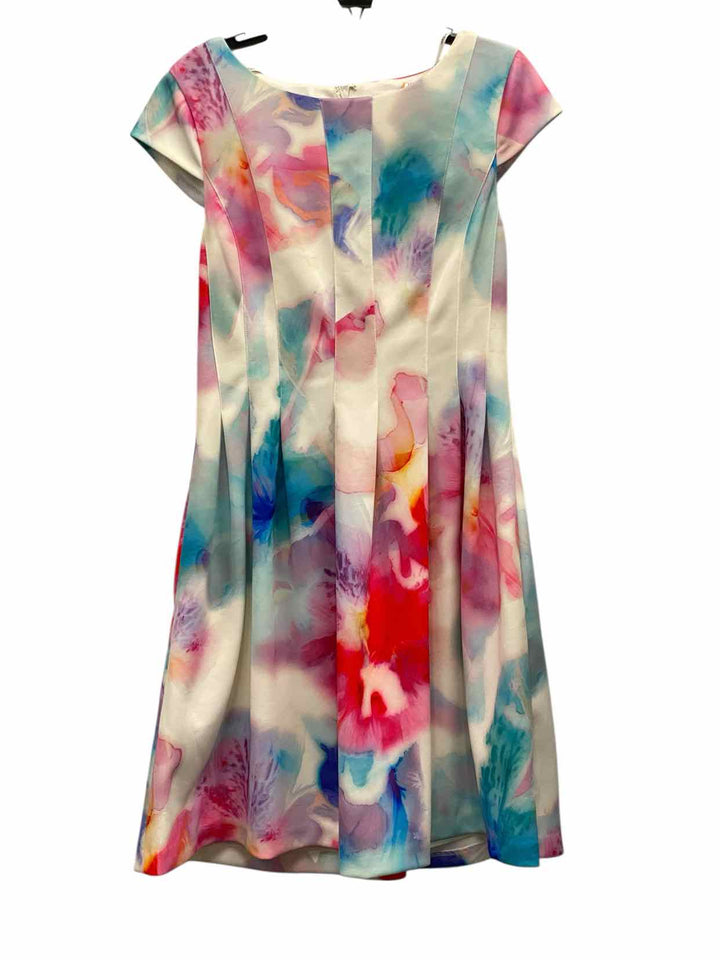 Calvin Klein Size 10 Multi-Color Dress