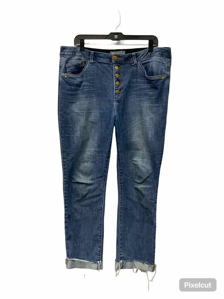 Wit & Wisdom Size 16 Blue Jeans