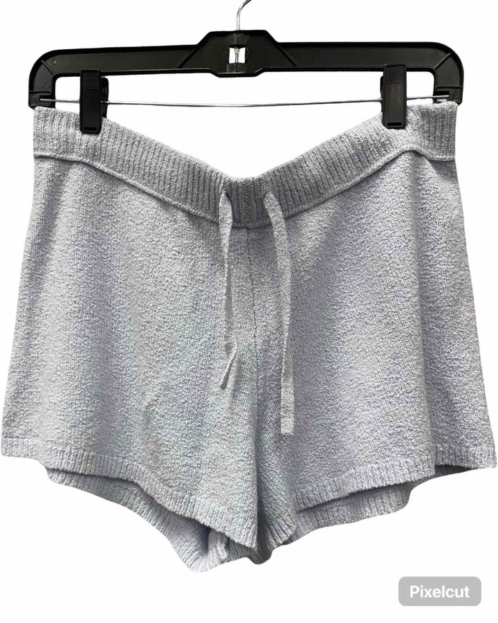 Aerie Size M Light Blue Shorts