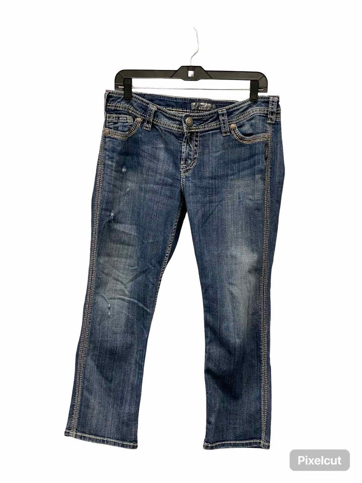 Silver Jeans Co. Size 31 Blue Jeans
