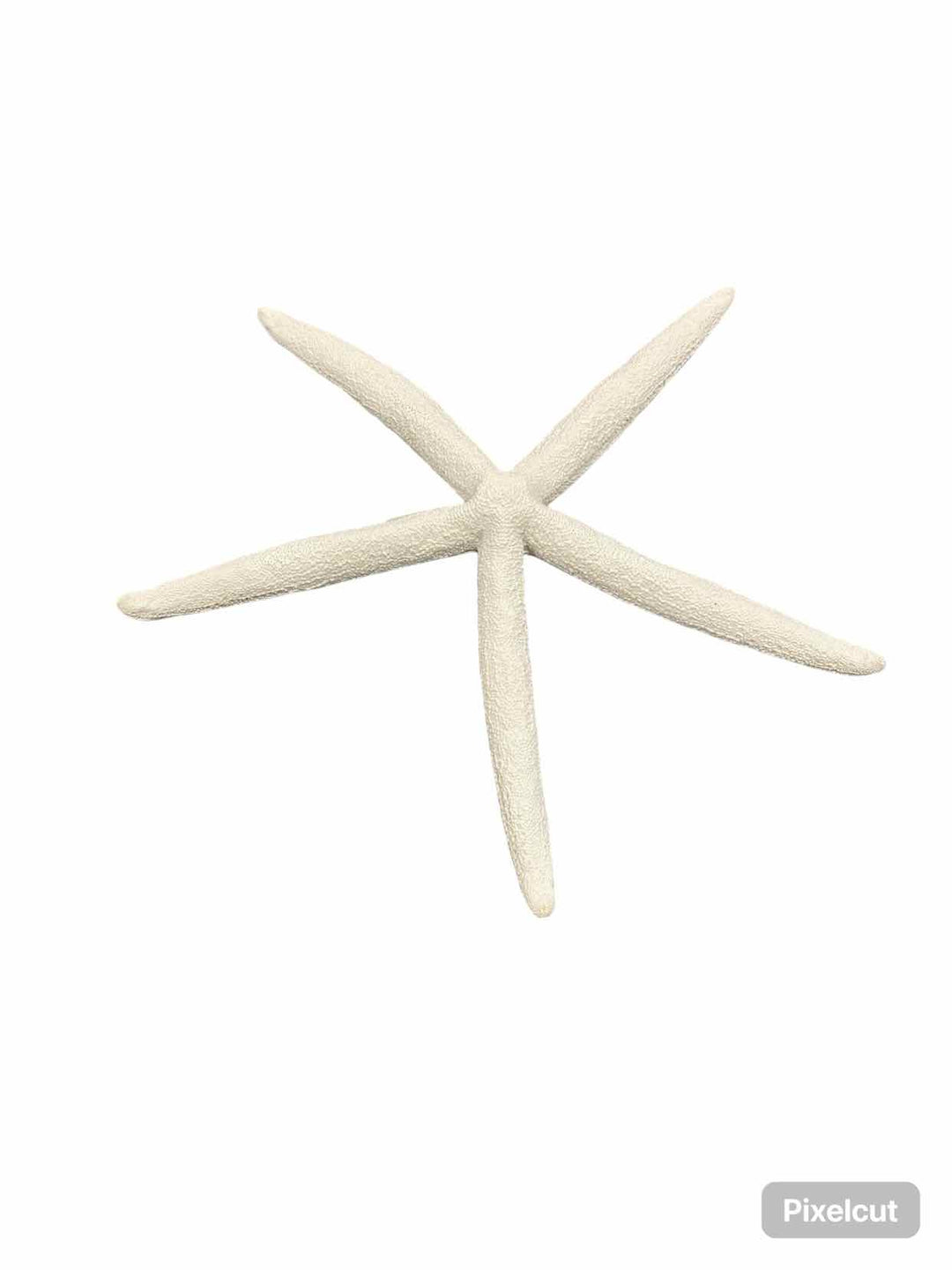 Starfish Wall Hanging Home Decor