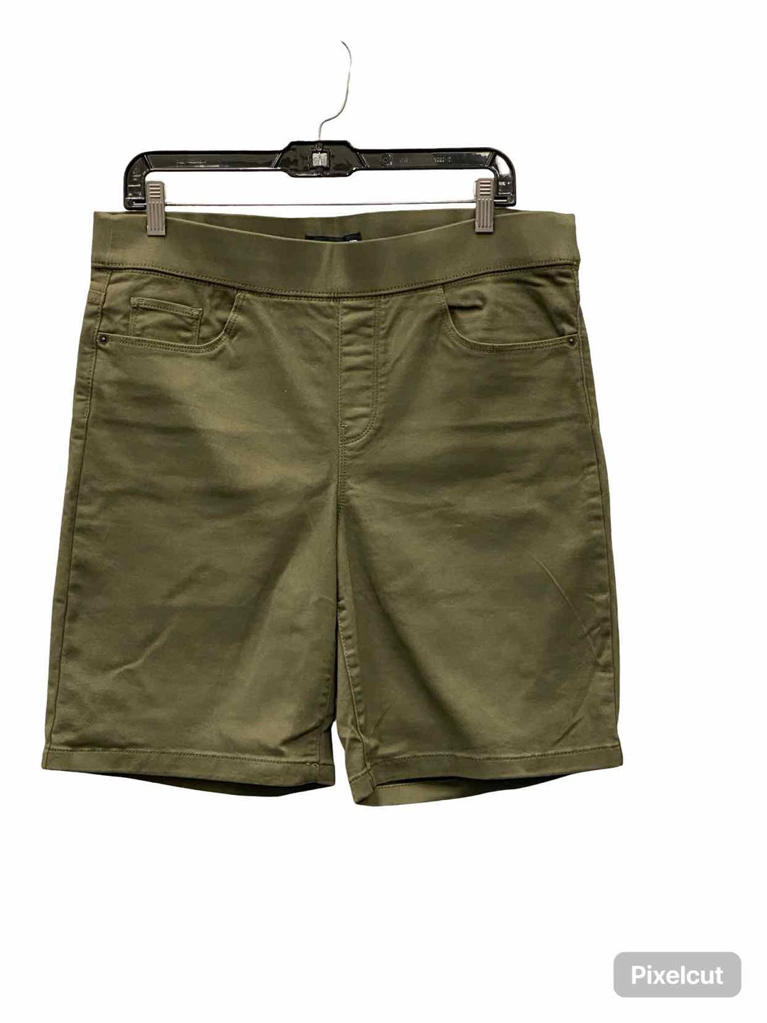 DKNY Size L Green Shorts