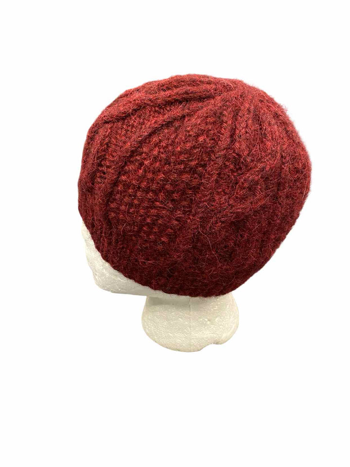 Invisible World Burgundy Hat