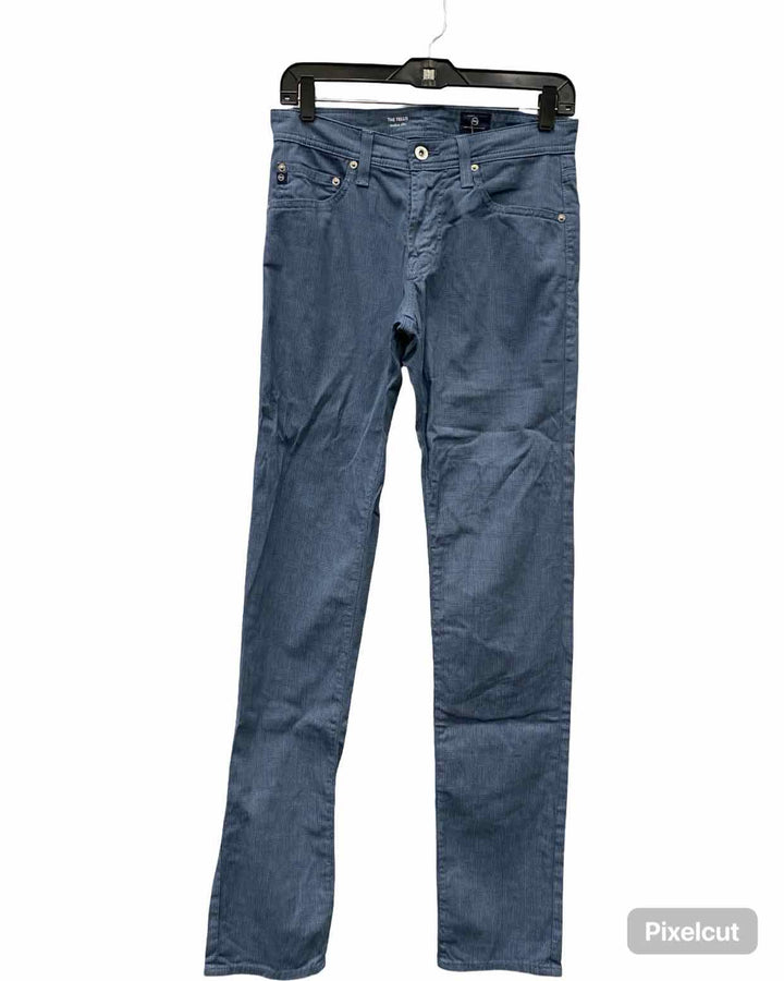 Adriano Goldschmeid Size 29 Blue Pants