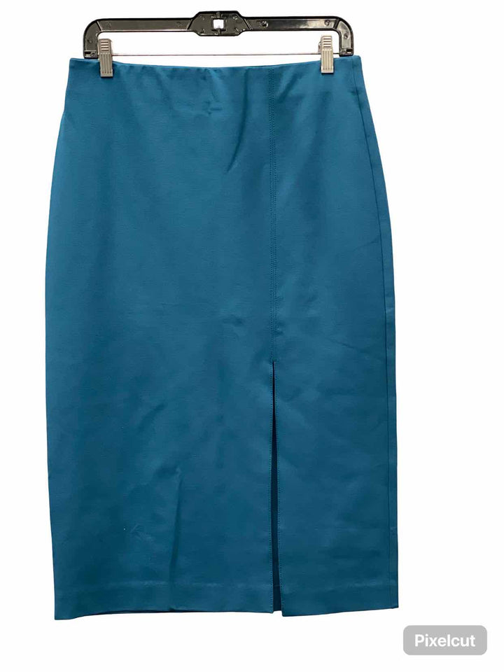 Ann Taylor Size M Blue Skirt