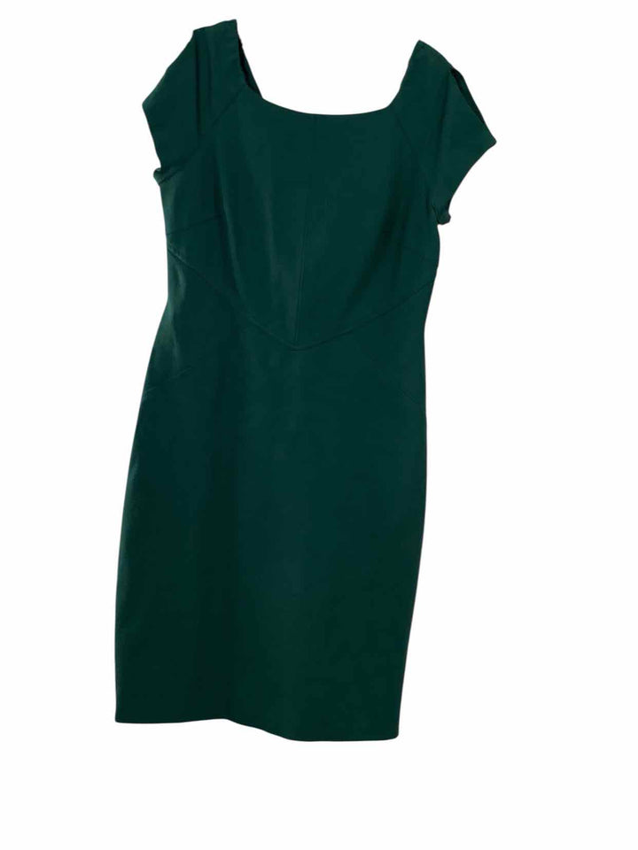 Antonio Melani Size 6 Green Dress