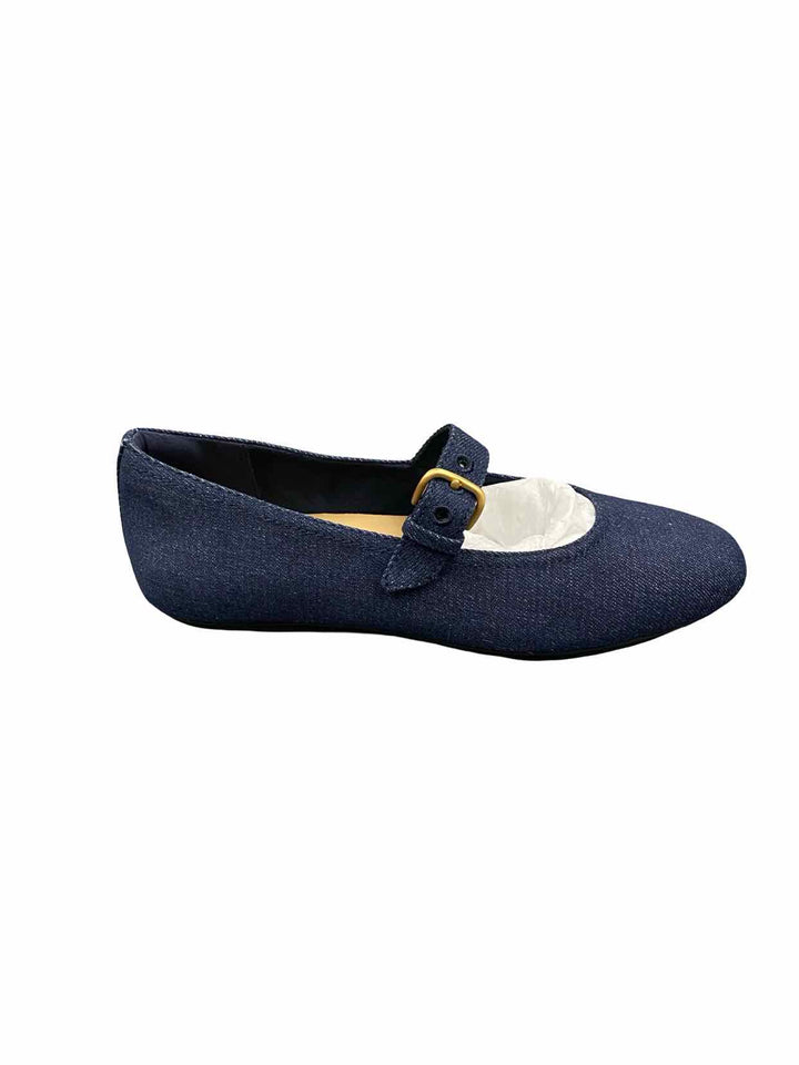 Fitflop Shoe Size 7.5 Blue Mary Jane Flats