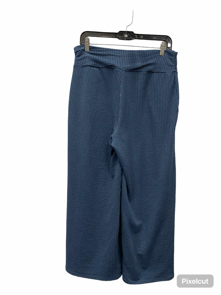 Toad & Co. Size M Teal Pants