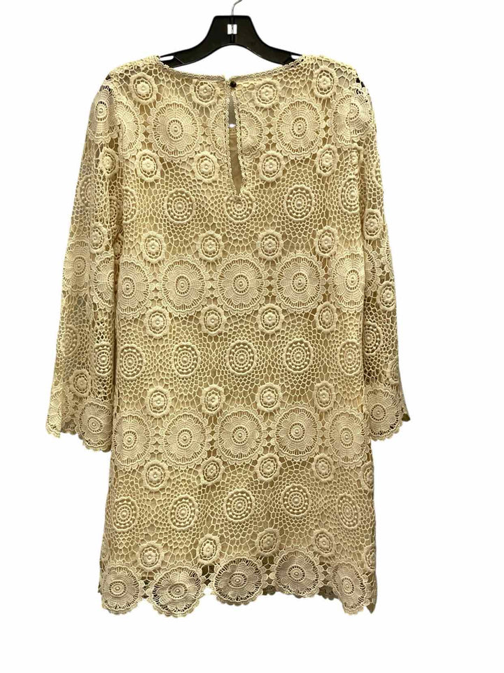 Zara Basic Size L Cream Lace Dress