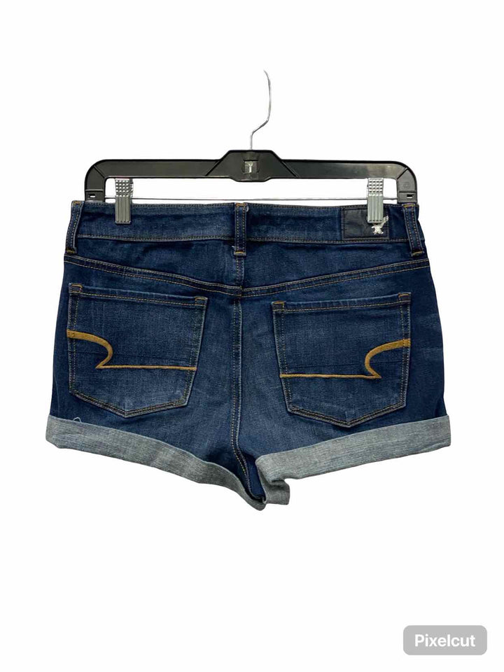 American Eagle Size 10 Blue Shorts
