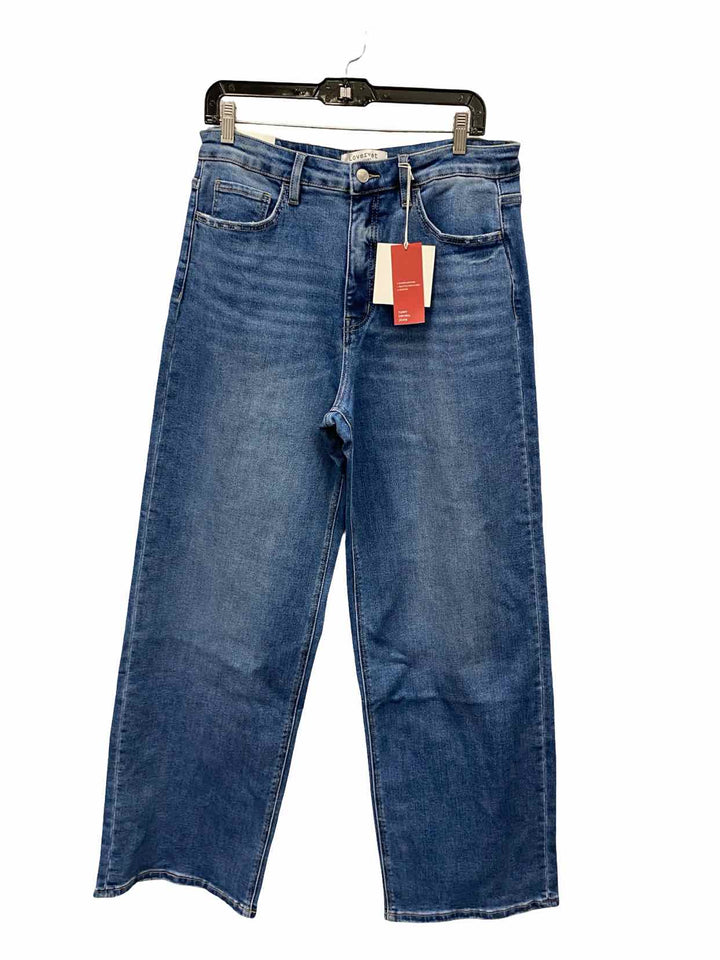 Vervet Size 32 Blue NWT Baggy Wide-Leg Jeans