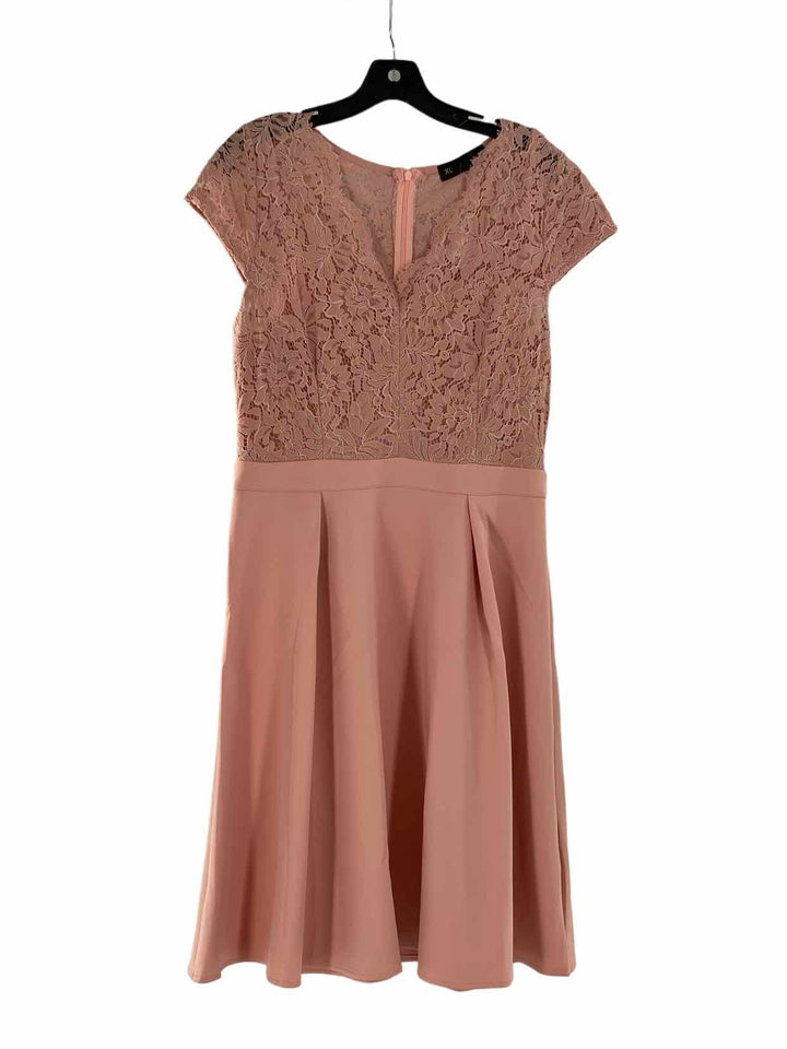 Unknown Brand Size XL Blush Pink lace detail Dress
