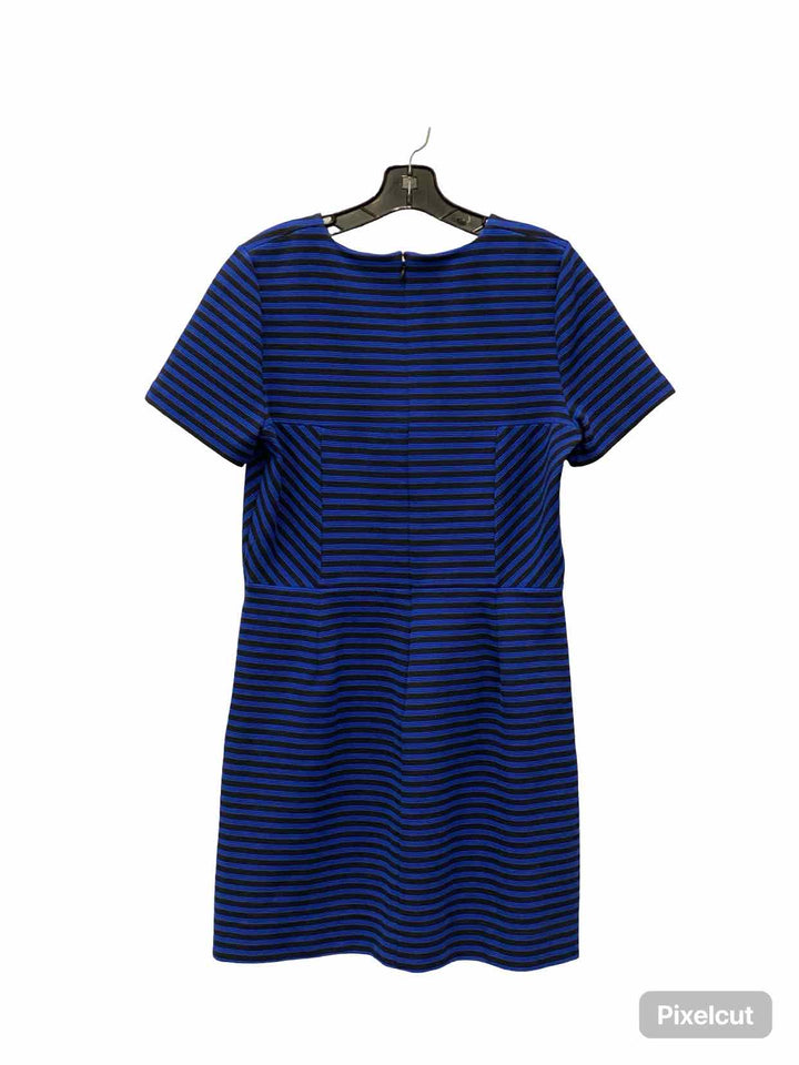 MadeWell Size 12 Black Blue Striped Dress