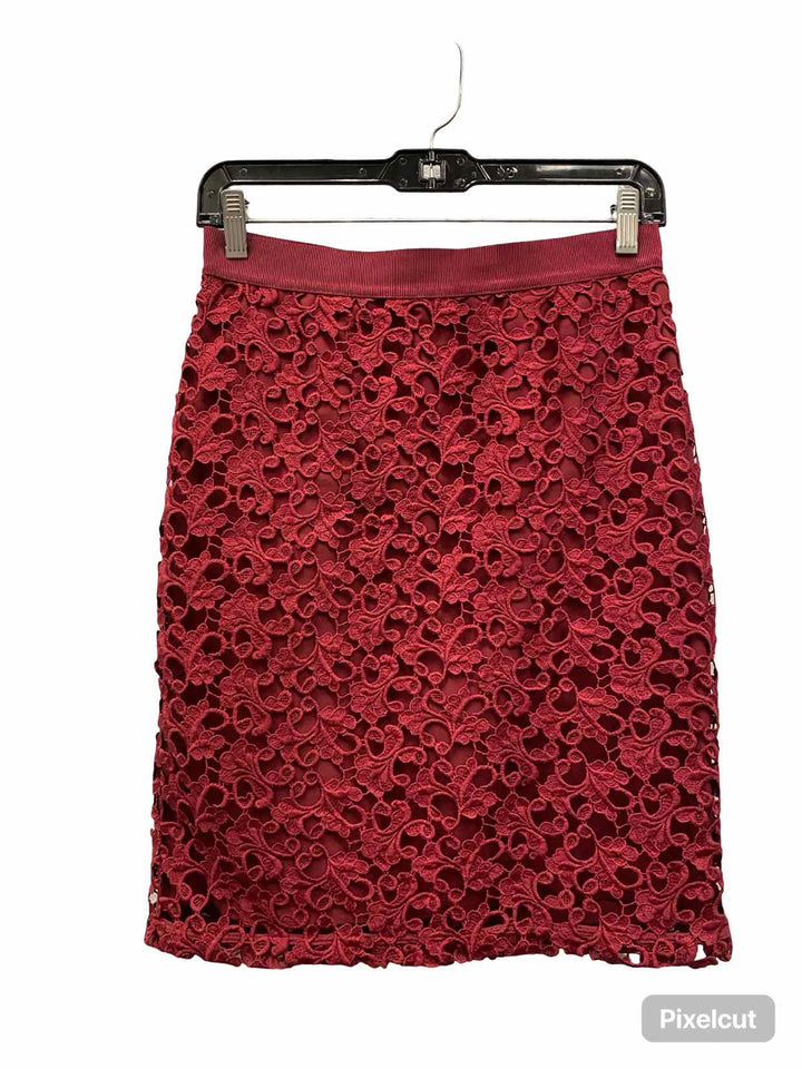 Ann Taylor Size 2P Red Lace Skirt