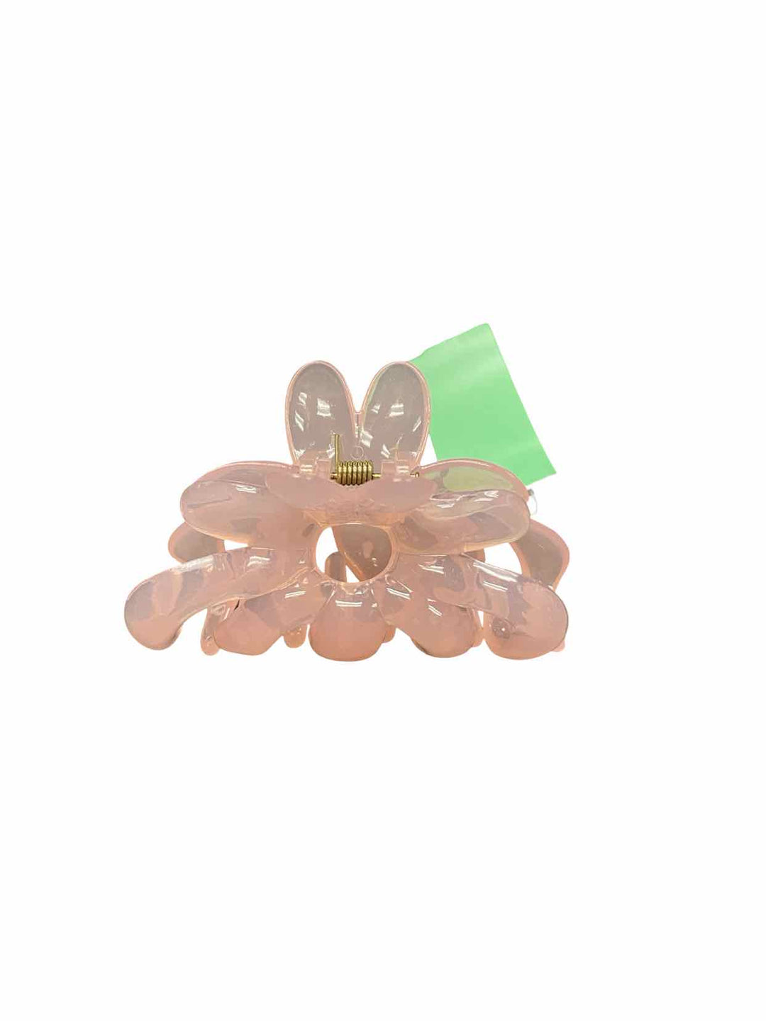 Hair Clasp