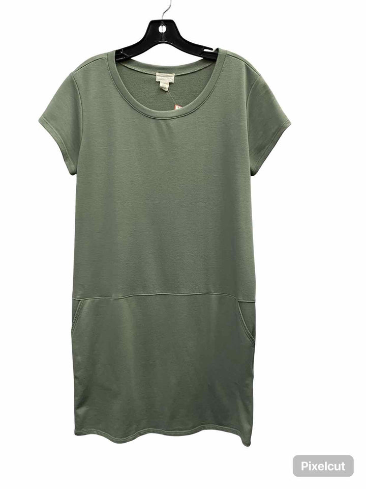 Caslon Size S Sage Green Knit Shift Dress