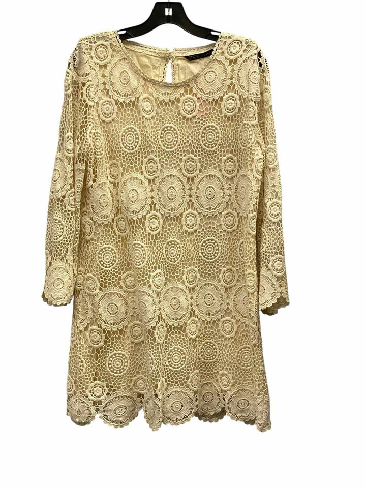 Zara Basic Size L Cream Lace Dress